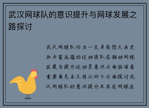 武汉网球队的意识提升与网球发展之路探讨